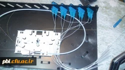 شبکه فیبر نوری7