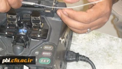 شبکه فیبر نوری8