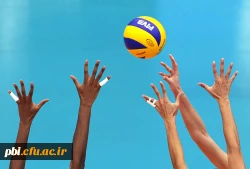 اردوی تیم های ورزشی