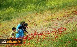 بهار حضرت زهرا