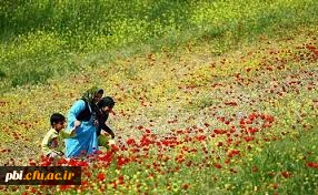 بهار حضرت زهرا