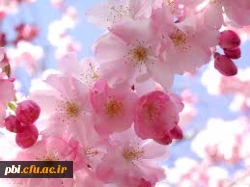 بهار حضرت زهرا