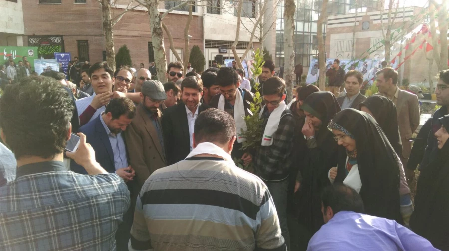 هفته درختکاری