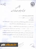 فرم های ورودی 91