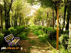 معرفی پردیس