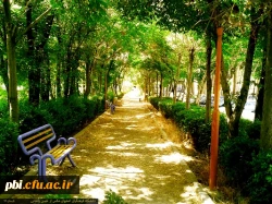 معرفی پردیس