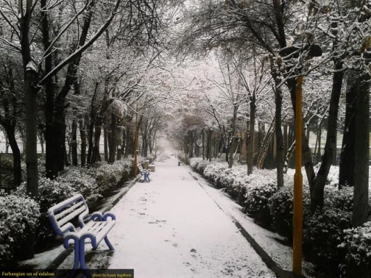 معرفی پردیس