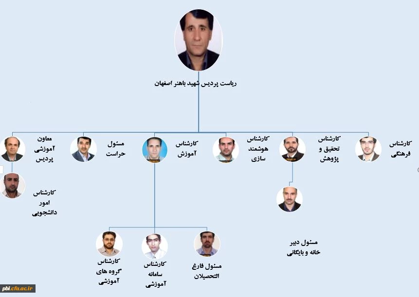 چارت سازمانی