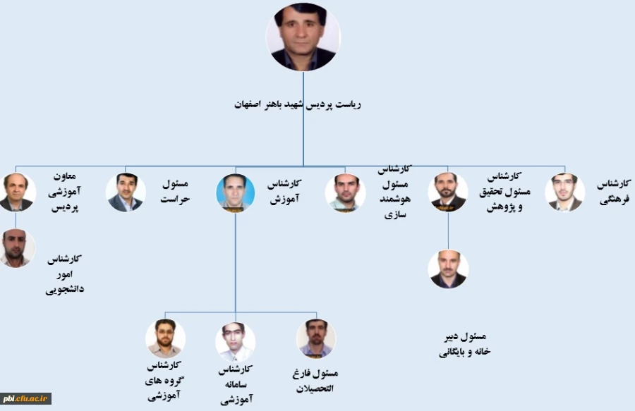 چارت سازمانی