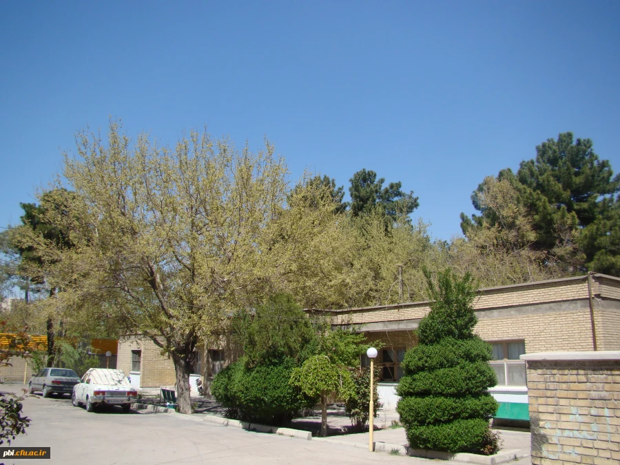 تصاویر پردیس شهید باهنراصفهان