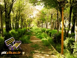 جلوه های پردیس