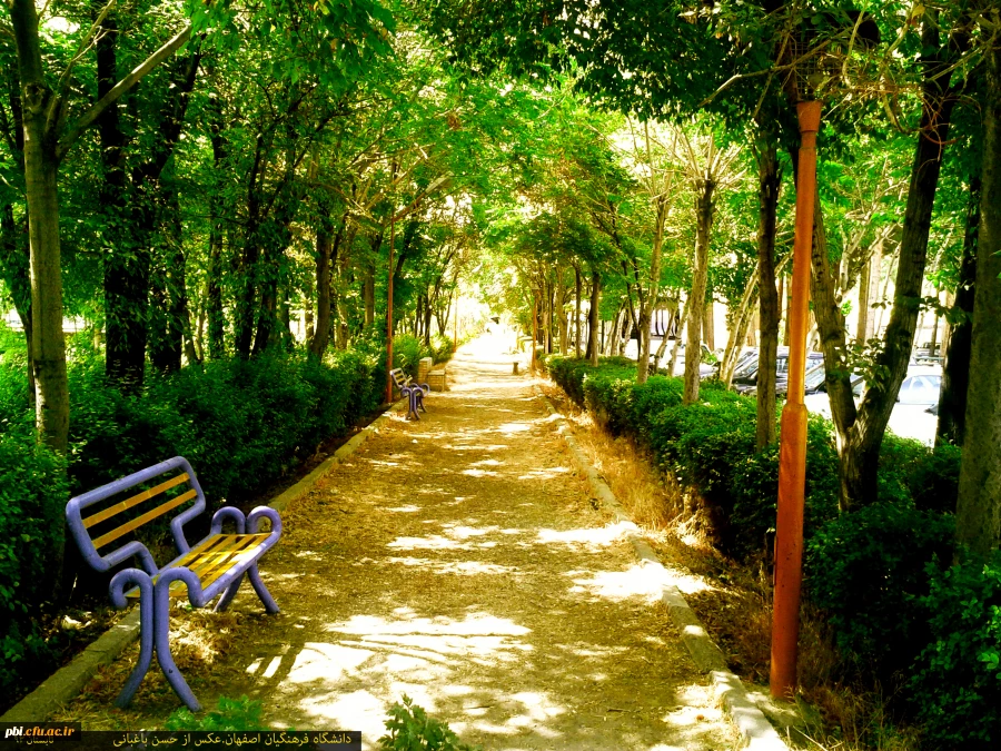 جلوه های پردیس