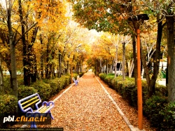 جلوه های پردیس