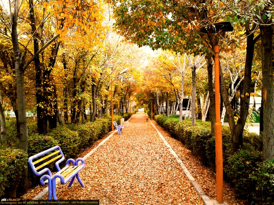 جلوه های پردیس