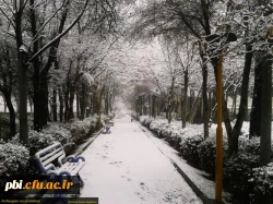 جلوه های پردیس