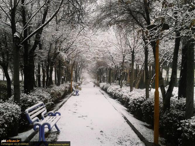 جلوه های پردیس