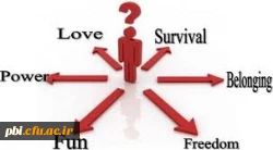 تئوری انتخاب