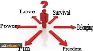 تئوری انتخاب