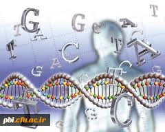 فایل های آموزشی زیست  از استاد رجایی و استاد قاسمی