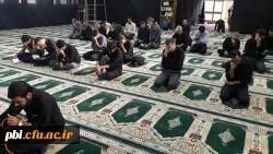 زیارت عاشورا