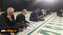 زیارت عاشورا