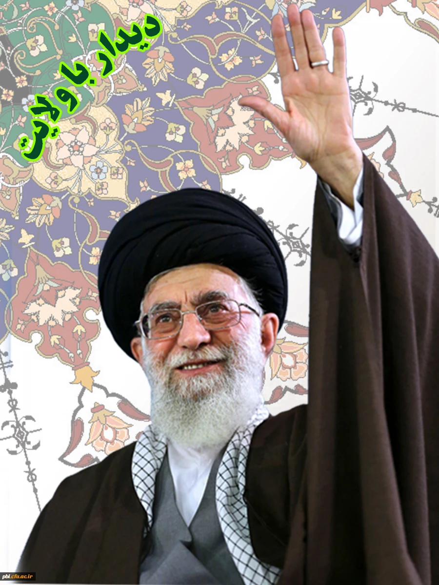 دیدار با ولایت