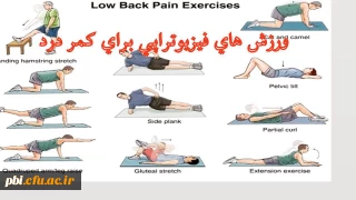 کارگاه آموزشی ناهنجاری های اسکلتی و حرکات اصلاحی