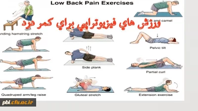 کارگاه آموزشی ناهنجاری های اسکلتی و حرکات اصلاحی