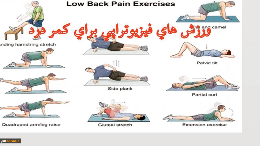 کارگاه آموزشی ناهنجاری های اسکلتی و حرکات اصلاحی 2