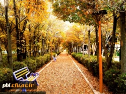 منتخب تصاویر پردیس