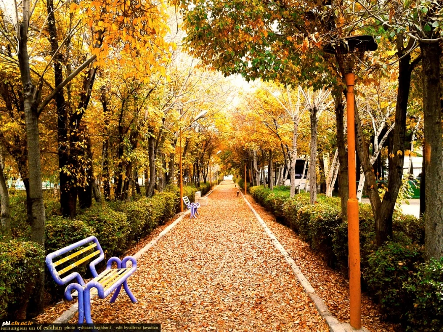 منتخب تصاویر پردیس