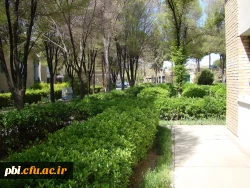 منتخب تصاویر پردیس