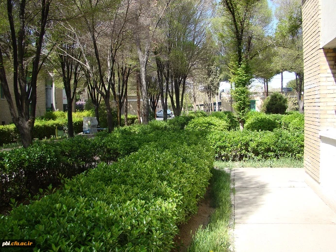 منتخب تصاویر پردیس