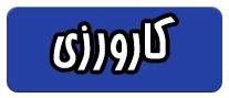 کارورزی 2