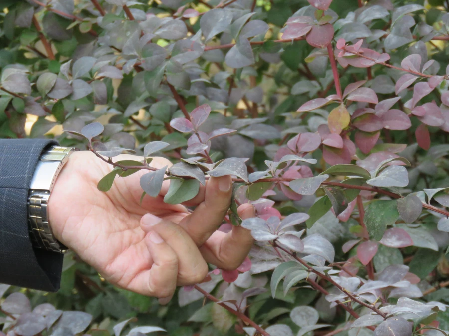 بازدید و گردش علمی  استاد فرح نسب از پارک ها و حیات وحش اصفهان 3