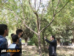 بازدید و گردش علمی  استاد فرح نسب از پارک ها و حیات وحش اصفهان 4