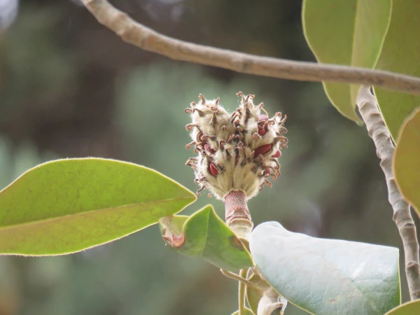 بازدید و گردش علمی  استاد فرح نسب از پارک ها و حیات وحش اصفهان 5