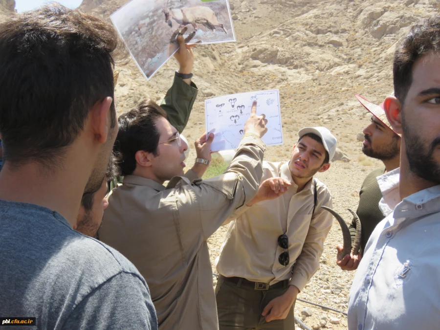بازدید میدانی بوم شناسی و فلوریستیک گیاهان، "درس اکولوژی"، دانشجویان گروه آموزش زیست شناسی 98 به همراه استاد درس، جناب آقای دکتر فرح نسب 3