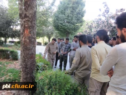 بازدید میدانی بوم شناسی و فلوریستیک گیاهان، 