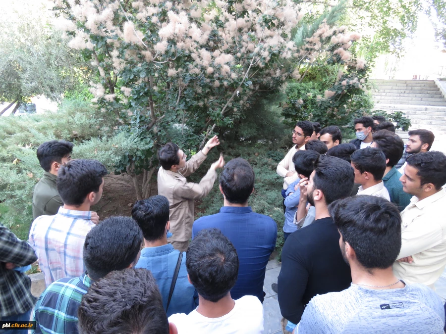 بازدید میدانی بوم شناسی و فلوریستیک گیاهان، "درس اکولوژی"، دانشجویان گروه آموزش زیست شناسی 98 به همراه استاد درس، جناب آقای دکتر فرح نسب 54