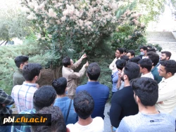 بازدید میدانی بوم شناسی و فلوریستیک گیاهان، 