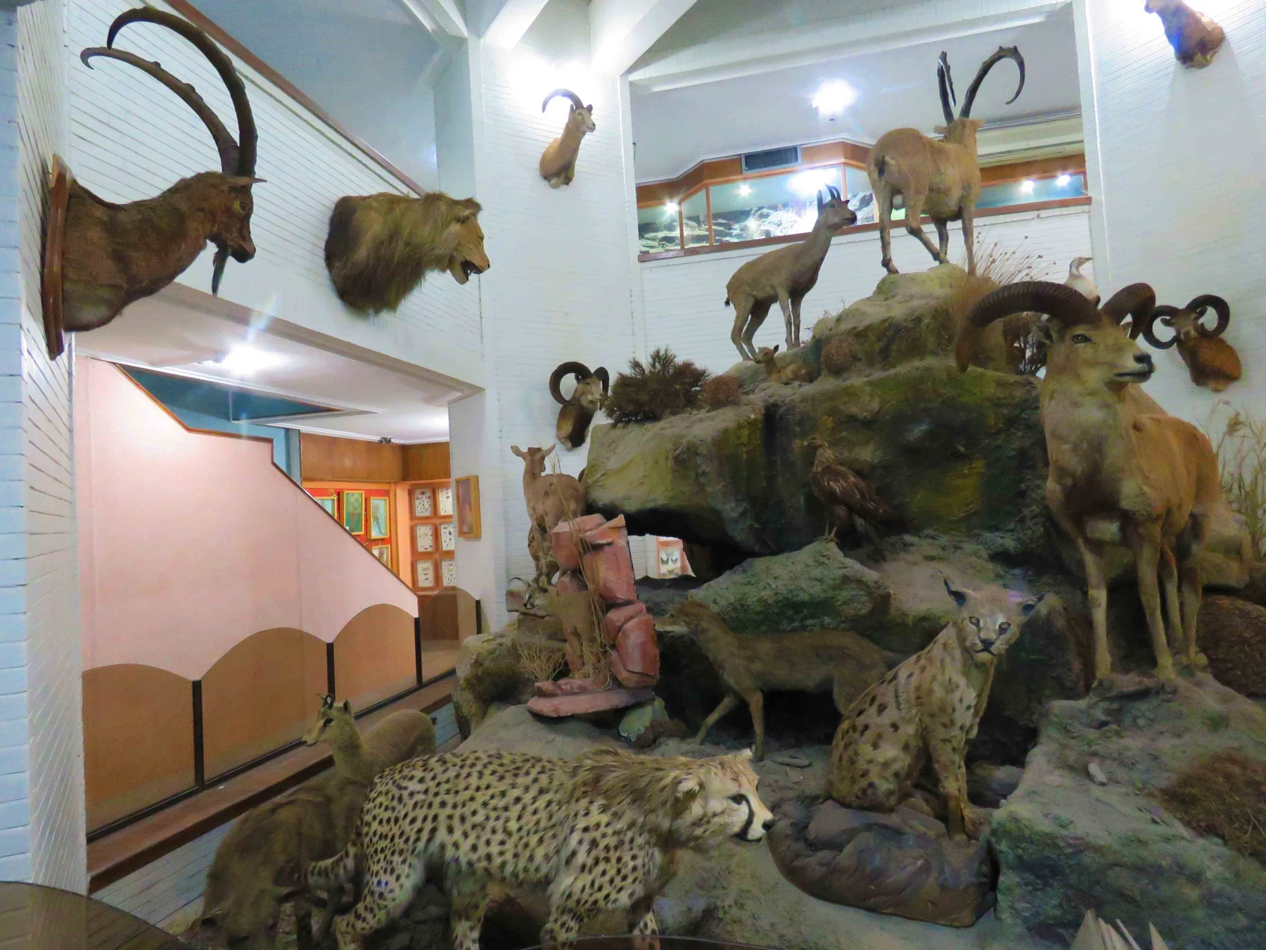 بازدید دانشجویان گروه آموزش زیست شناسی ۹۹ با همراهی استاد جناب آقای دکتر فرح نسب 10