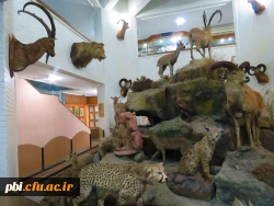 بازدید دانشجویان گروه آموزش زیست شناسی ۹۹ با همراهی استاد جناب آقای دکتر فرح نسب 10