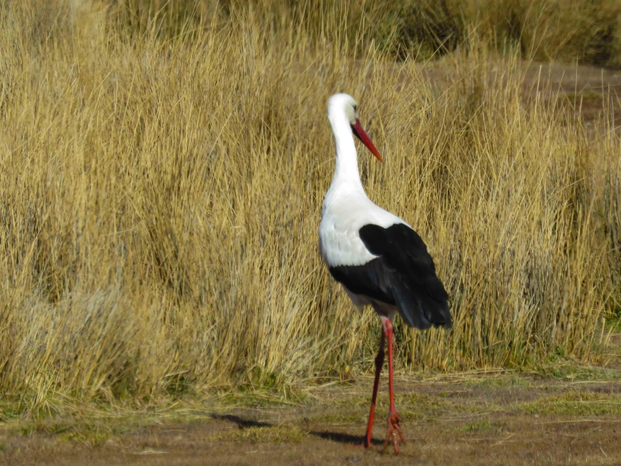 سفر آموزشی دانشجویان گروه آموزش زیست شناسی ۹۹ ، تالاب های بین المللی استان چهارمحال و بختیاری،  با همراهی استاد دکتر فرح نسب 2