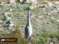 سفر آموزشی دانشجویان گروه آموزش زیست شناسی ۹۹ ، تالاب های بین المللی استان چهارمحال و بختیاری،  با همراهی استاد دکتر فرح نسب 3