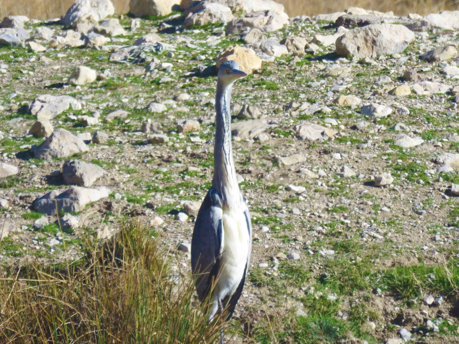 سفر آموزشی دانشجویان گروه آموزش زیست شناسی ۹۹ ، تالاب های بین المللی استان چهارمحال و بختیاری،  با همراهی استاد دکتر فرح نسب 3