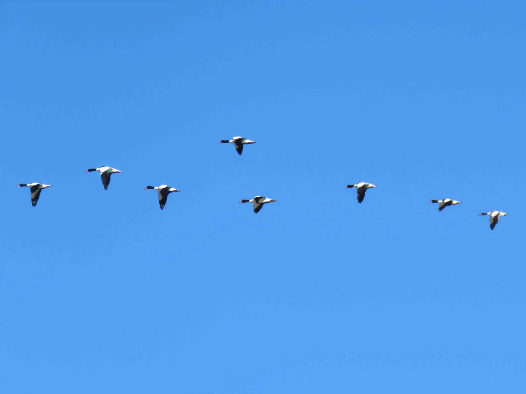 سفر آموزشی دانشجویان گروه آموزش زیست شناسی ۹۹ ، تالاب های بین المللی استان چهارمحال و بختیاری،  با همراهی استاد دکتر فرح نسب 6