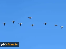 سفر آموزشی دانشجویان گروه آموزش زیست شناسی ۹۹ ، تالاب های بین المللی استان چهارمحال و بختیاری،  با همراهی استاد دکتر فرح نسب 6