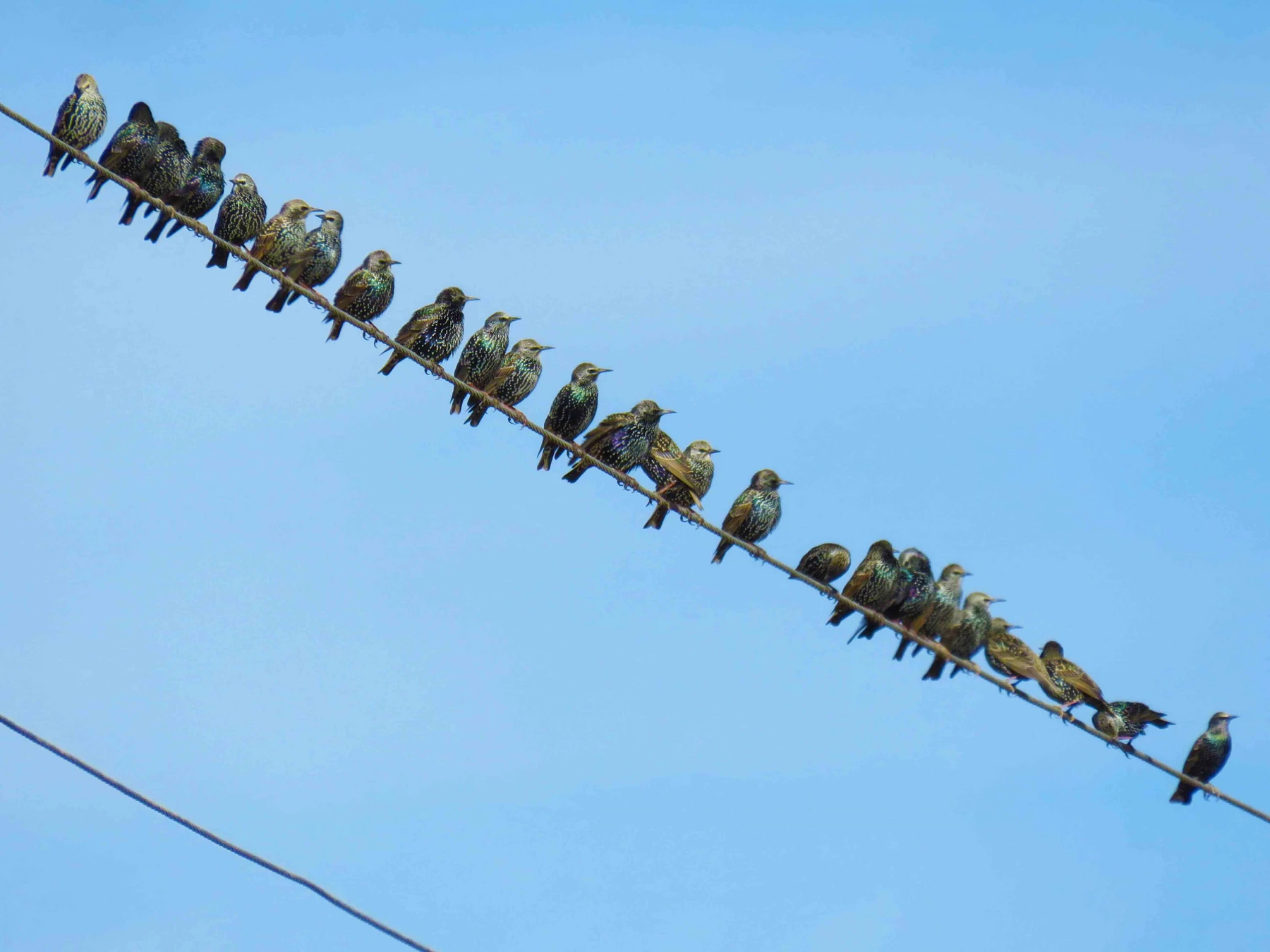 سفر آموزشی دانشجویان گروه آموزش زیست شناسی ۹۹ ، تالاب های بین المللی استان چهارمحال و بختیاری،  با همراهی استاد دکتر فرح نسب 8