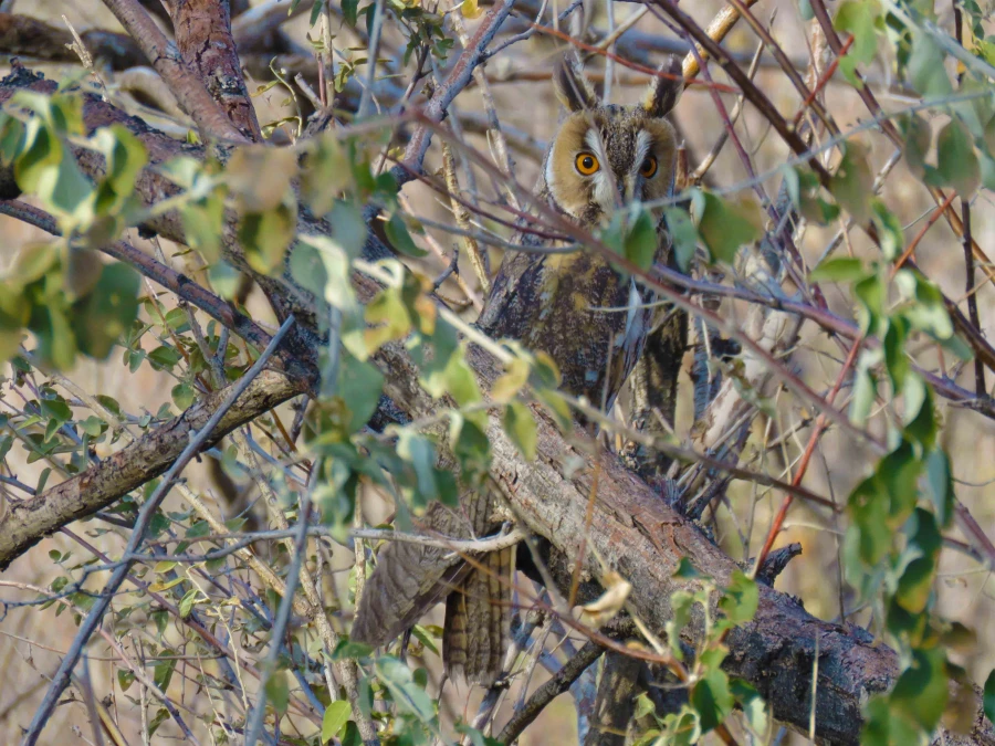 سفر آموزشی دانشجویان گروه آموزش زیست شناسی 98 به پارک ملّی و پناهگاه حیات وحش موته، با همراهی استاد دکتر فرح نسب 10